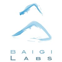 Baigi Labs chat bot