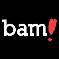 BAM Social Business chat bot