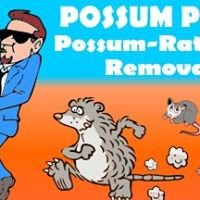 Possum Piper chat bot