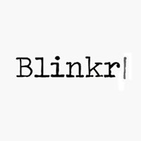 Blinkr chat bot