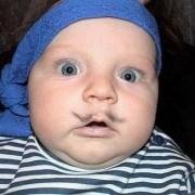 What's That? chat bot