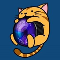 Meow Apps chat bot