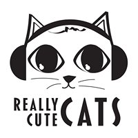 Really Cute Cats chat bot