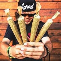 Stoner Nation - Luxembourg chat bot