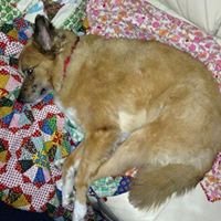 It's ok that youre a fucktard chat bot