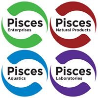 Pisces Group Australia chat bot
