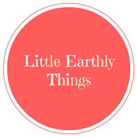 Little Earthly Things chat bot