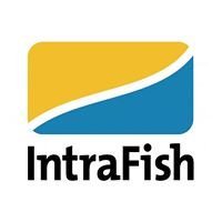 IntraFish Media chat bot