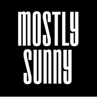 Mostly Sunny - Digital Marketing chat bot
