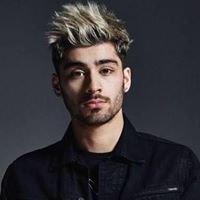 Zayn Malik Egypt chat bot