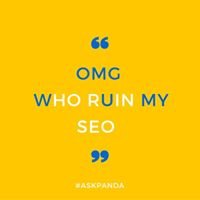 The Digital marketer chat bot