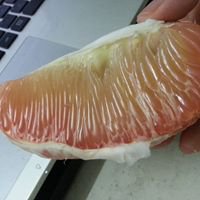 Trang Niêm Yết Giá chat bot