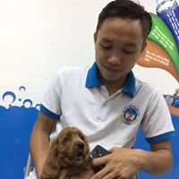 Trọng Tuyên chat bot