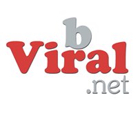 b-Viral.net chat bot