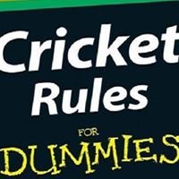 Cricket Rule chat bot