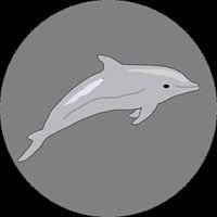 Dolphin Industries chat bot