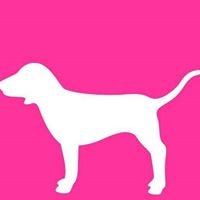 Victoria's Secret Pink Coupons chat bot