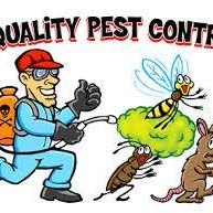Banzikhal Companey  for Health Services Special to Pest and Rodent Control chat bot