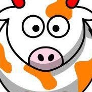 One Orange Cow chat bot