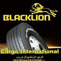 Blacklion Egypt chat bot
