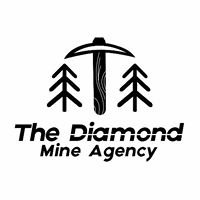 The Diamond Mine Agency-sales chat bot
