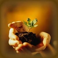 Mirabueno Garden Soil, Organic Fertilizer and Vermi Compost Seller chat bot