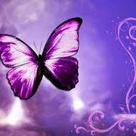 ‿ εїзßüttêrfly With Állâh εїз ‿ chat bot