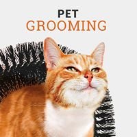 Pet Grooming chat bot