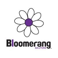 Bloomerang Solutions chat bot