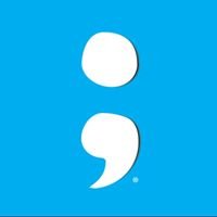 Project Semicolon chat bot