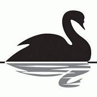 Swan Labs chat bot