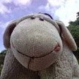 The Test Sheep chat bot