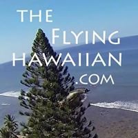 The Flying Hawaiian .com chat bot
