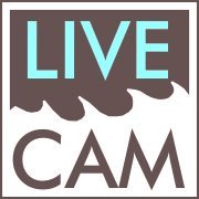 Baltic Live Cam chat bot