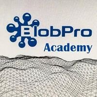 Blobpro Academy chat bot