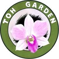 Toh Garden chat bot