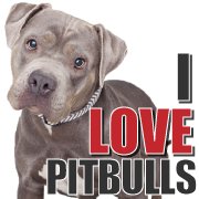 I Love Pitbulls chat bot