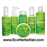 EcoHerbs Natural Hair Care - Malaysia chat bot