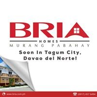 Bria Homes Tagum chat bot