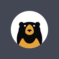 Sun Bear Digital chat bot