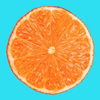 Neon Tangerine chat bot