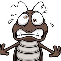 Bug-Topia Pest Control & Termite Solutions chat bot