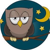 Night Owl Marketing Show chat bot