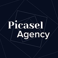Picasel Agency chat bot