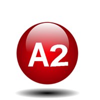 A2 Studios chat bot