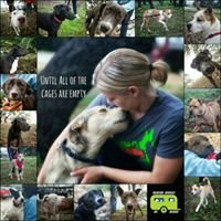 Mission: Miracle K9 Rescue, Inc. chat bot
