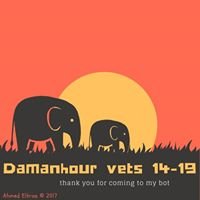 Damanhour Vets 14-19 chat bot