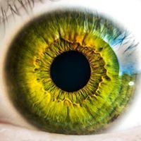 North Jersey Eye Care Center chat bot