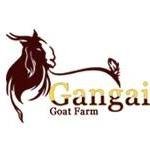 Gangai Goat Farm chat bot