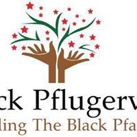 Black Pflugerville chat bot